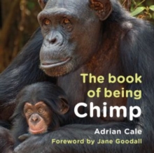 Image for The Book of Being Chimp