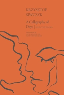 Image for A Calligraphy of Days