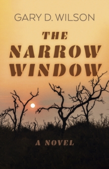 Image for The narrow window  : a novel