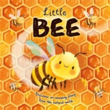Image for Little Bee