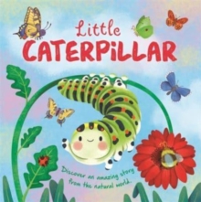 Image for Little Caterpillar