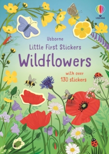 Image for Little First Stickers Wildflowers