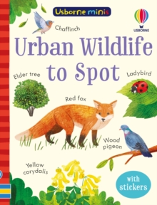 Image for Urban wildlife to spot