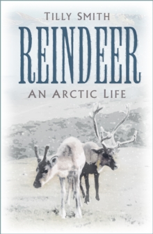 Reindeer: An Arctic Life