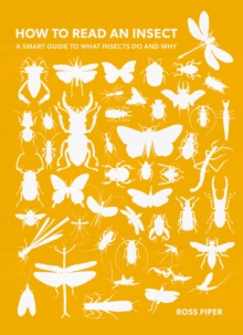 Image for How to Read an Insect