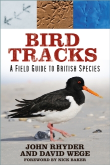 Image for Bird tracks  : a field guide to British species