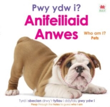 Pwy ydw i? Anifeiliaid Anwes / Who Am I? Pets - DK