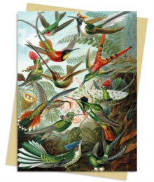 Ernst Haeckel: Hummingbirds Greeting Card Pack: Pack of 6