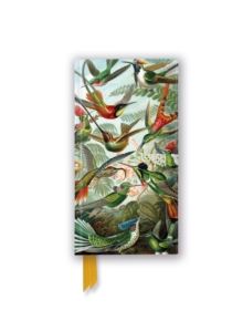 Image for Ernst Haeckel: Hummingbirds (Foiled Slimline Journal)