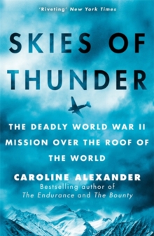 Image for Skies of Thunder