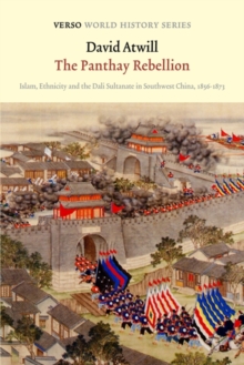 Image for The panthay rebellion  : Islam, ethnicity and the Dali sultanate in southwest China, 1856-1873