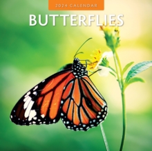 Image for Butterflies 2024 Square Wall Calendar