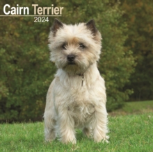 Cairn Terrier Calendar 2024  Square Dog Breed Wall Calendar – 16 Month