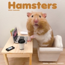 Hamsters Calendar 2024  Square Animal Wall Calendar – 16 Month