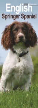 Image for English Springer Spaniel  Slim Calendar 2024  Dog Breed Slimline Calendar - 12 Month