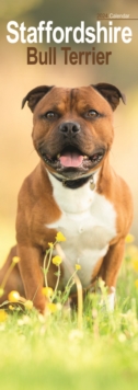 Image for Staffordshire Bull Terrier Slim Calendar 2024  Dog Breed Slimline Calendar - 12 Month