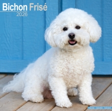 Image for Bichon Frise Calendar 2026  Square Dog Breed Wall Calendar - 16 Month