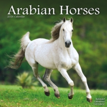 Image for Arabian Horses Calendar 2026  Square Horses Wall Calendar - 16 Month