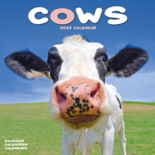 Image for Cows Calendar 2026  Square Farm Animal Wall Calendar - 16 Month