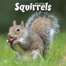 Image for Squirrels Calendar 2026  Square Animal Wall Calendar - 16 Month