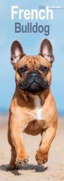 Image for French Bulldog Slim Calendar 2026  Dog Breed Slimline Calendar - 12 Month
