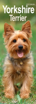 Image for Yorkshire Terrier Slim Calendar 2026  Dog Breed Slimline Calendar - 12 Month