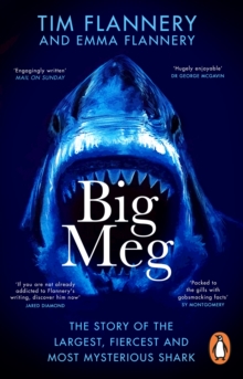 Image for Big meg  : the story of the largest, fiercest and most mysterious shark