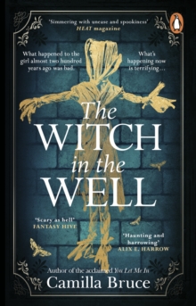 The Witch in the Well: A deliciously disturbing Gothic tale of a revenge reaching out across the years