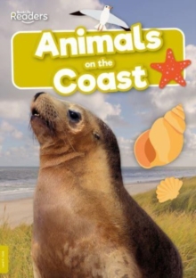 Animals on the Coast - Twiddy, Robin