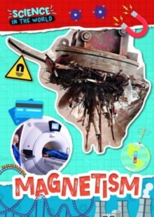 Magnetism - Brundle, Joanna