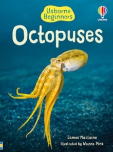 Image for Beginners Octopuses