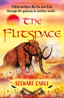Image for The Flitspace