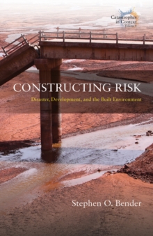 Image for Constructing Risk