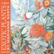 Kew Gardens: Exotic Plants by Marianne North Wall Calendar 2025 (Art Calendar)