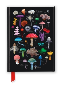 Anna Stead: Mushrooms & Fungi (Foiled Journal) - Flame Tree Studio