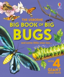 Image for Big Book of Big Bugs