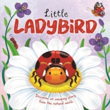 Image for Little ladybird