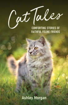 Image for Cat tales  : comforting stories of faithful feline friends