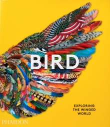 Image for Bird  : exploring the winged world