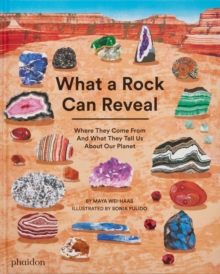 Image for What a Rock Can Reveal