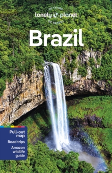 Image for Lonely Planet Brazil