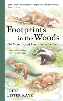 Image for Footprints in the Woods