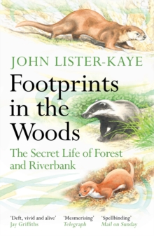 Image for Footprints in the Woods