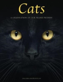 Image for Cats  : a celebration of our feline friends