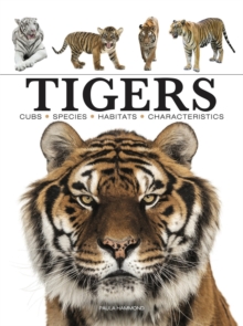 Image for Tigers  : stunning photographs of the world's biggest cats