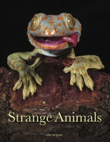 Strange Animals