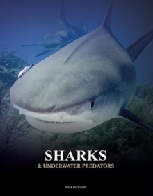 Image for Sharks and Underwater Predators
