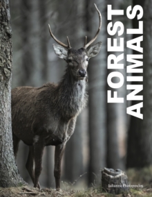 Image for Forest Animals