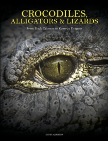 Image for Crocodiles, Alligators & Lizards : From Black Caimans to Komodo Dragons