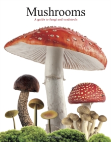 Image for Mushrooms  : a guide to fungi and toadstools